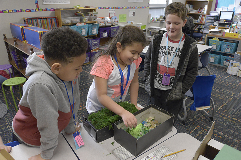 Five MSD Wayne Schools Receive STEM Certification from State
